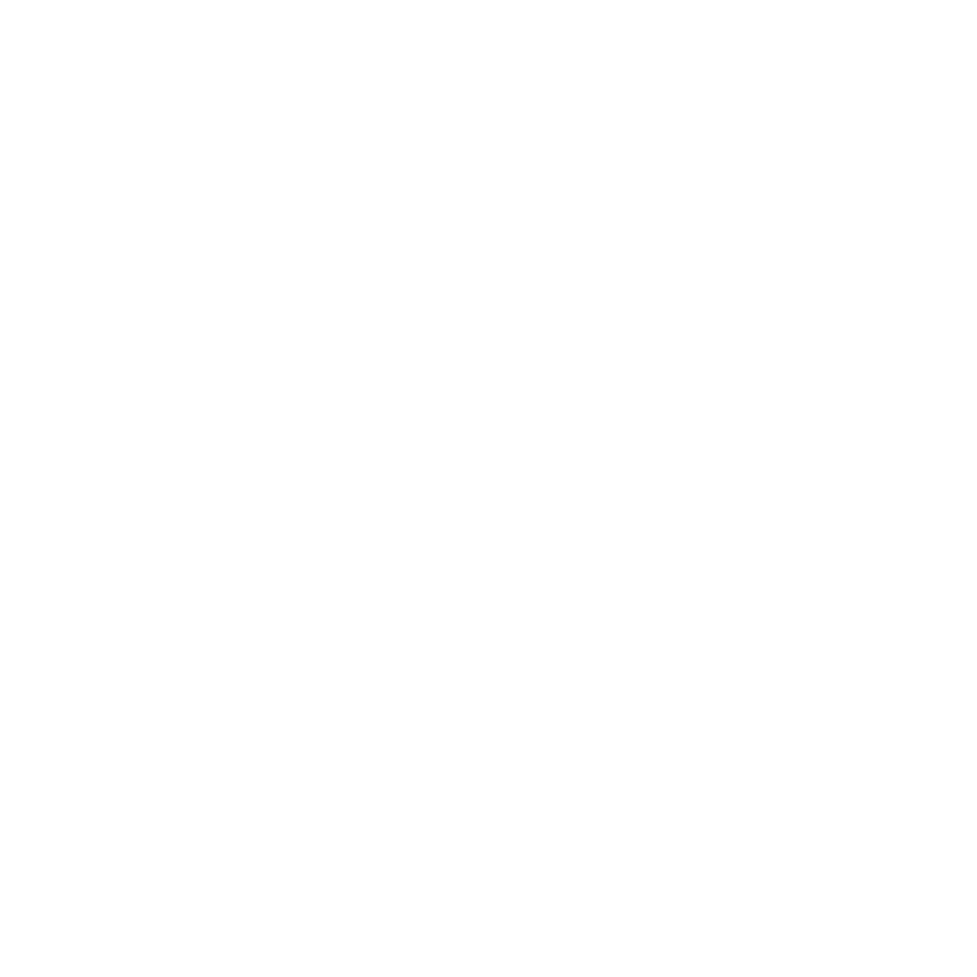 Core Value Icon